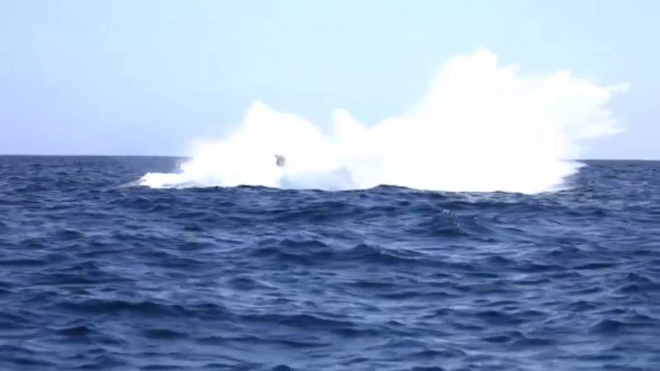 Espectaculares imágenes de un grupo de ballenas en plena migración