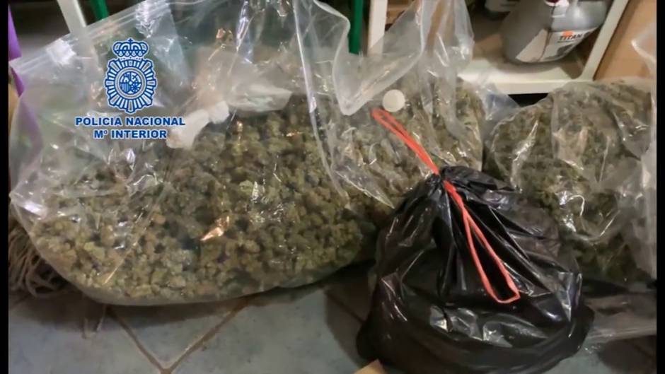 Cinco detenidos por distribución de marihuana en Granada