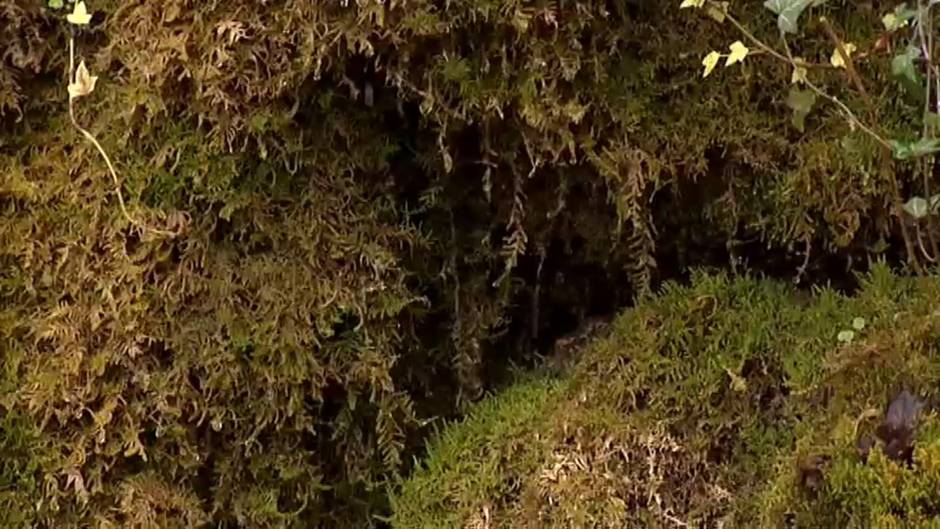 Preocupación constante en Zaldibar pese a la buena calidad del aire y el agua