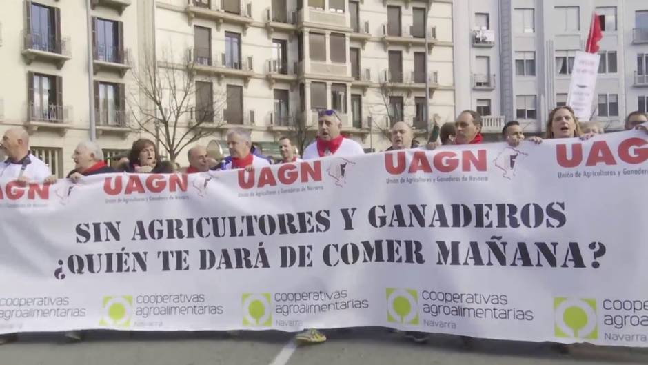 Agricultores y ganaderos se manifiestan en Pamplona y Granada