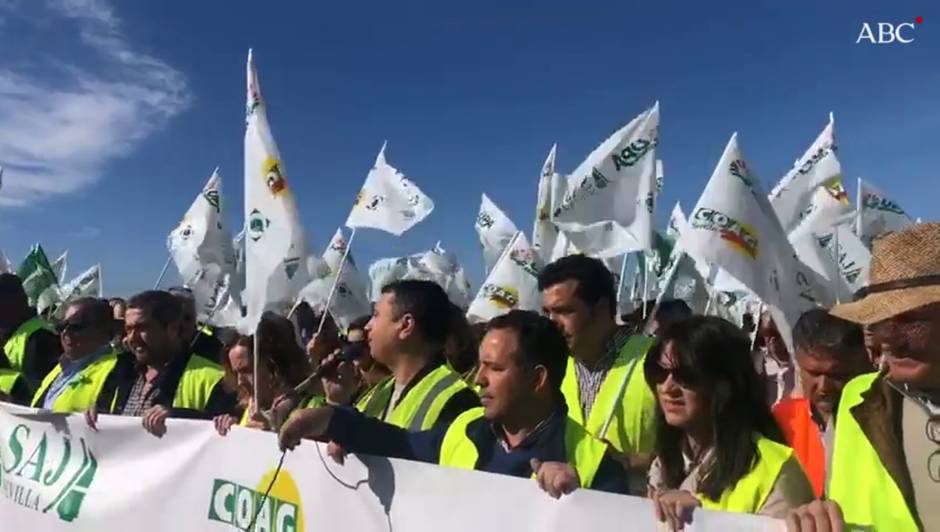 Los alcaldes de Benacazón, Bollullos y Aznalcollar se unen a las protestas de los agricultores