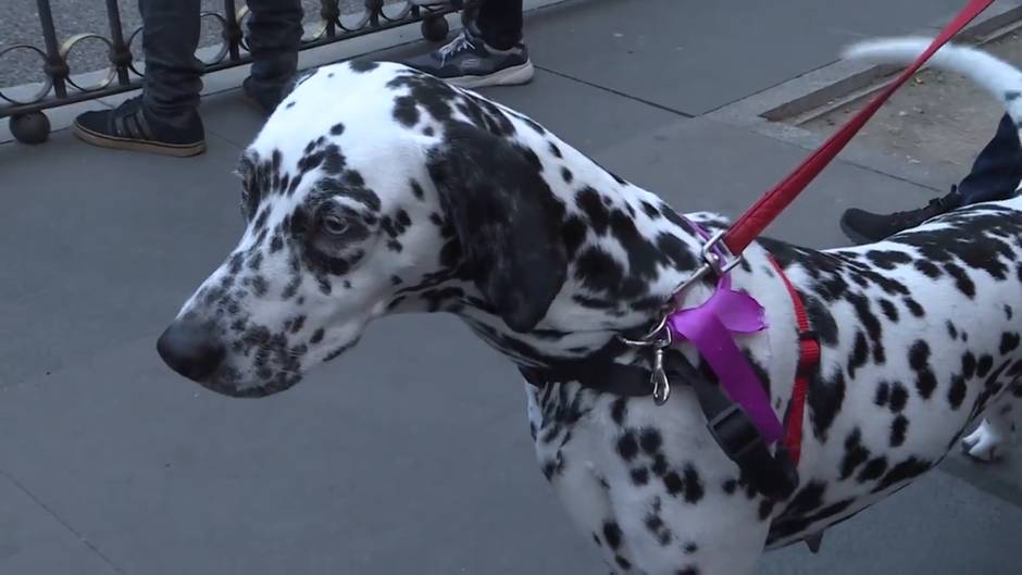 Las feministas salen a la calle de Madrid por la igualdad