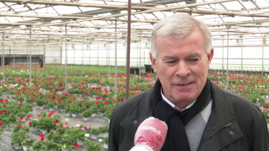 Floricultura valenciana estima pérdidas de 200 millones de euros