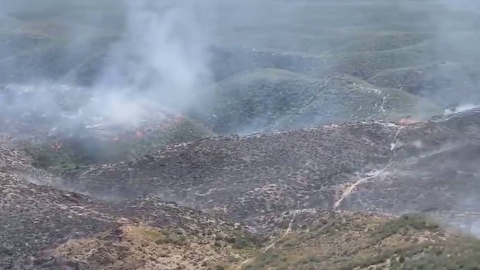 Declarado un incendio forestal en Almería