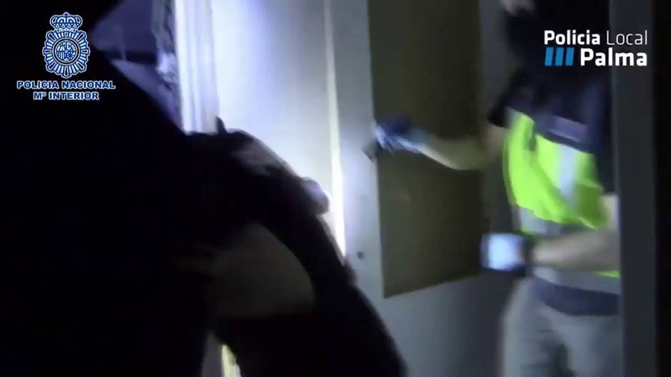 La Policía desmantela una plantación de marihuana en un piso de Palma