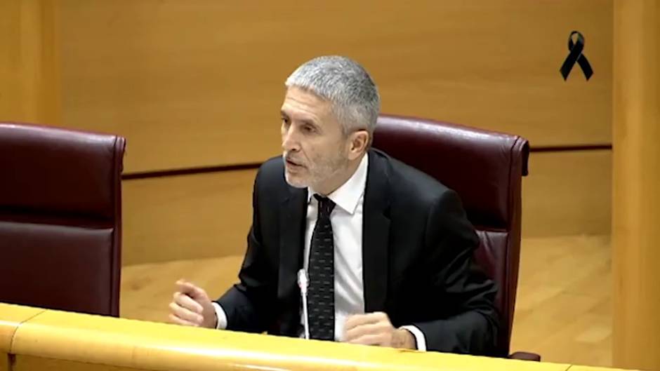 Marlaska dice que ni él ni nadie de la Guardia Civil solicitó el informe del 8M