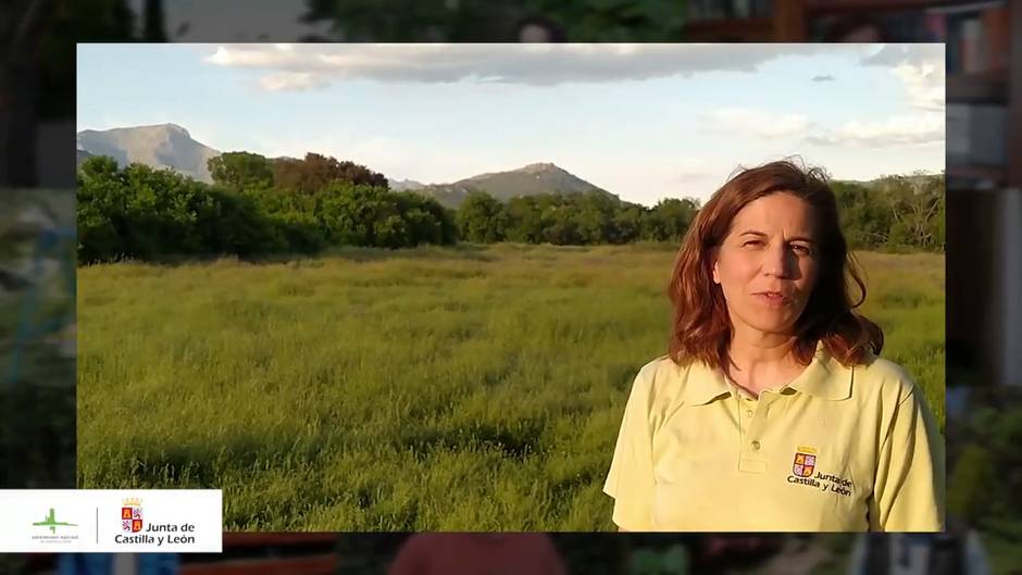 Un vídeo colaborativo difunde los valores naturales de CyL