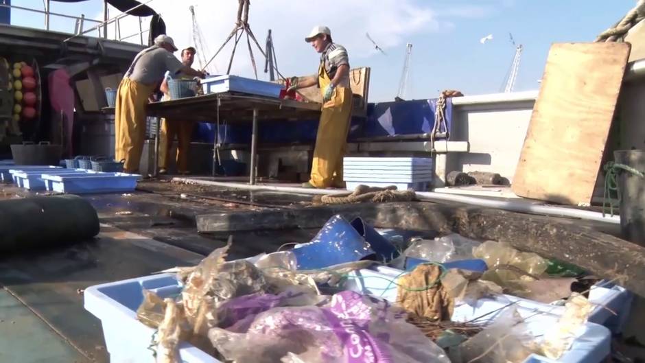 Los grandes desafíos en el 'Día Mundial de los Océanos'