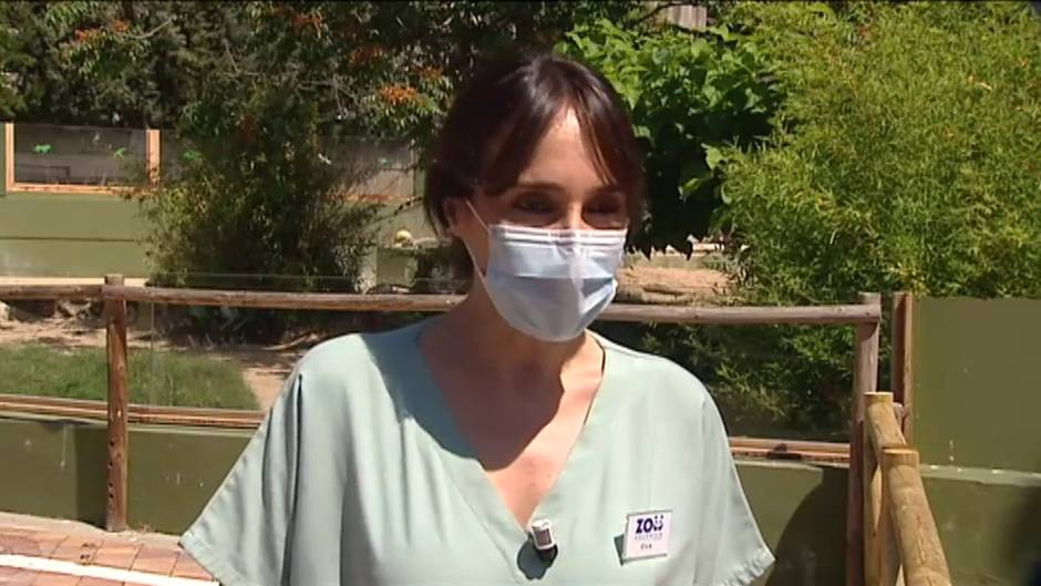 Desescalada animal a la espera de los añorados visitantes