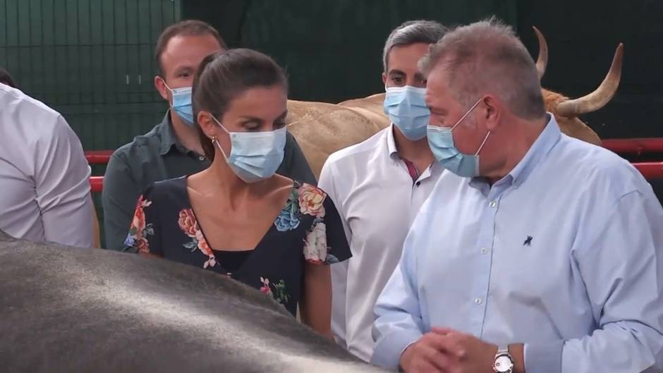 Los Reyes de España, Felipe VI y doña Letizia visitan Cantabria