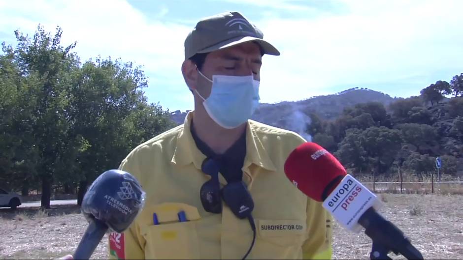 Unas 90 personas trabajan en el operativo del incendio de Olvera (Cádiz)