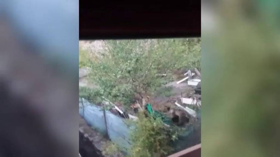 Un oso pardo visita a una familia en Villablino, en León