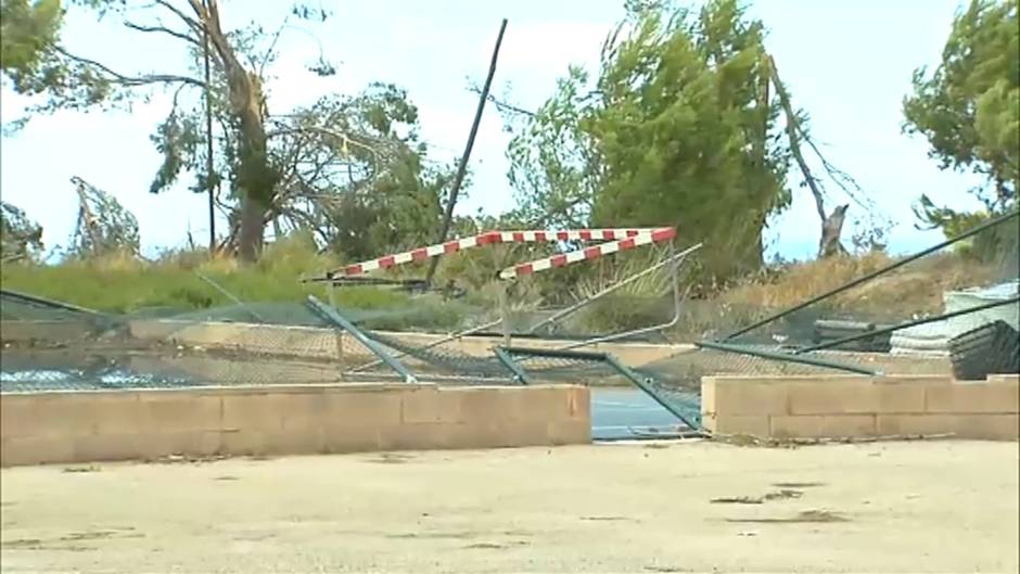 Un "cap de flibó" sorprende a los mallorquines de la zona de Banyalbufar