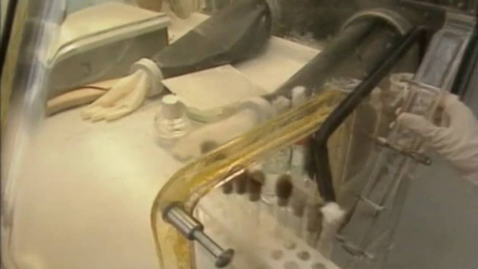 La Unión Europea y la OTAN exigen explicaciones a Rusia sobre el envenenamiento de Navalny