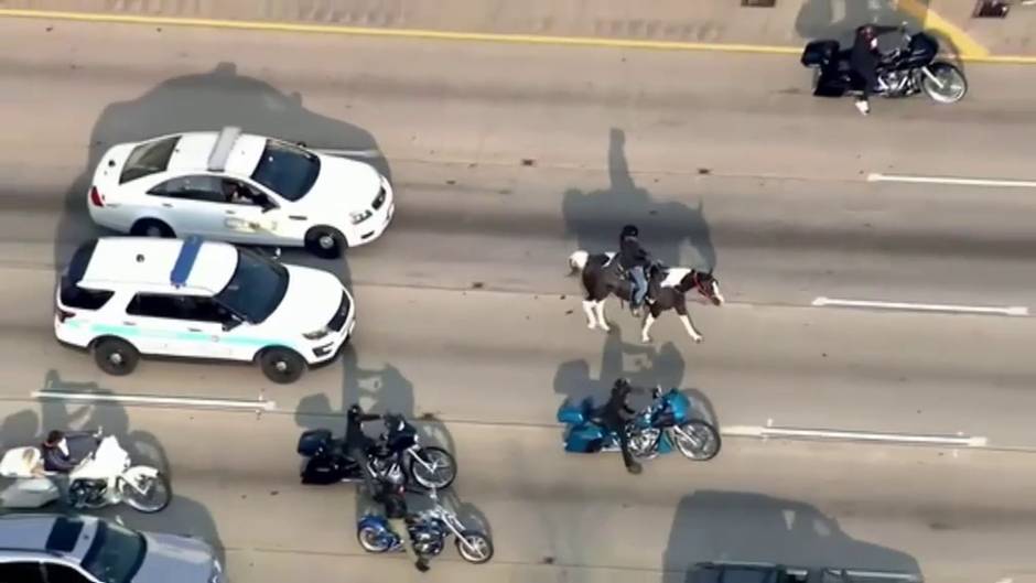 Protesta a caballo en una autopista de Chicago en hora punta para denunciar las necesidades de los niños