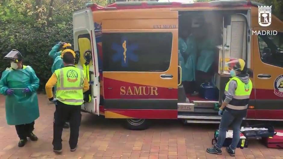 Herida grave una cuidadora del Zoo tras ser atacada por un gorila