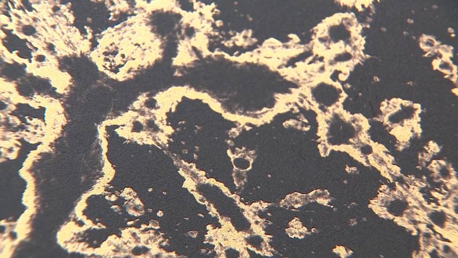 'Nudos: Topologías de la memoria' reflexiona sobre la naturaleza y su aparente caos