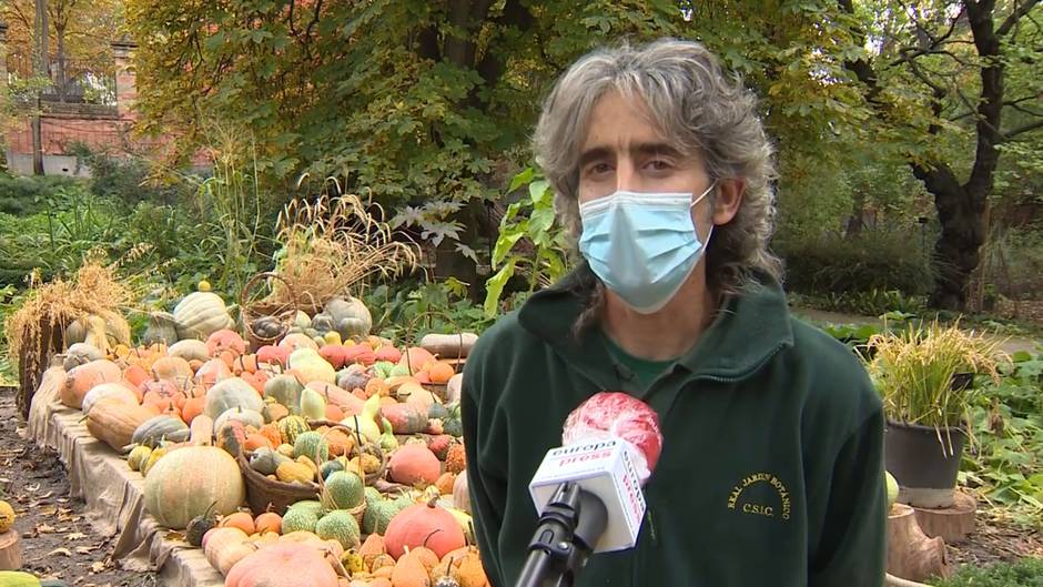 Exposición de 30 calabazas en el Real Jardín Botánico