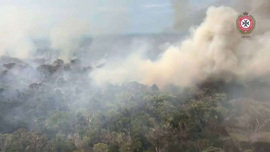 Los fuegos arrasan la turística isla de Fraser en Australia