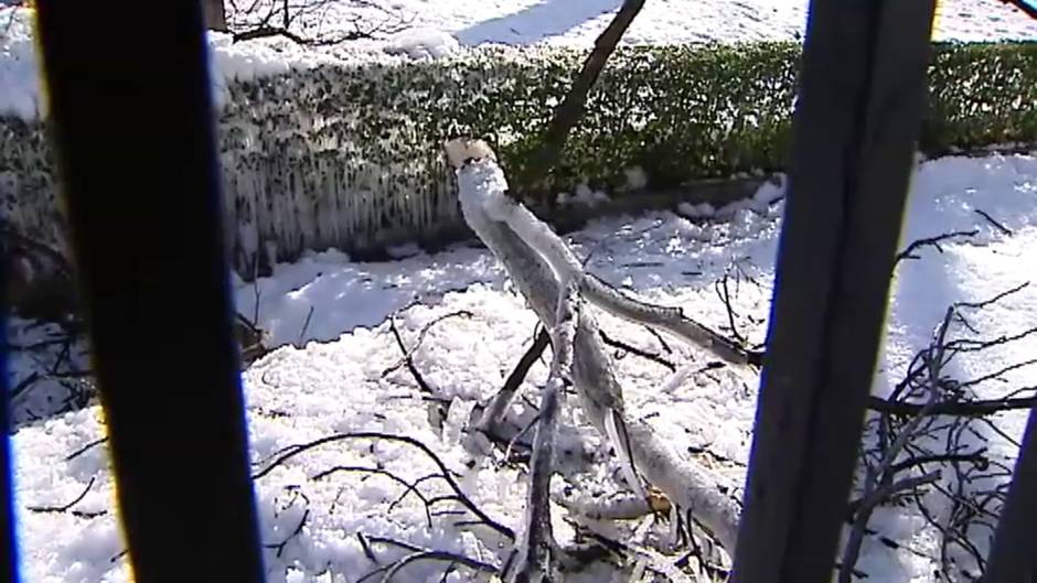 Filomena cambia para siempre la imagen del Parque del Retiro