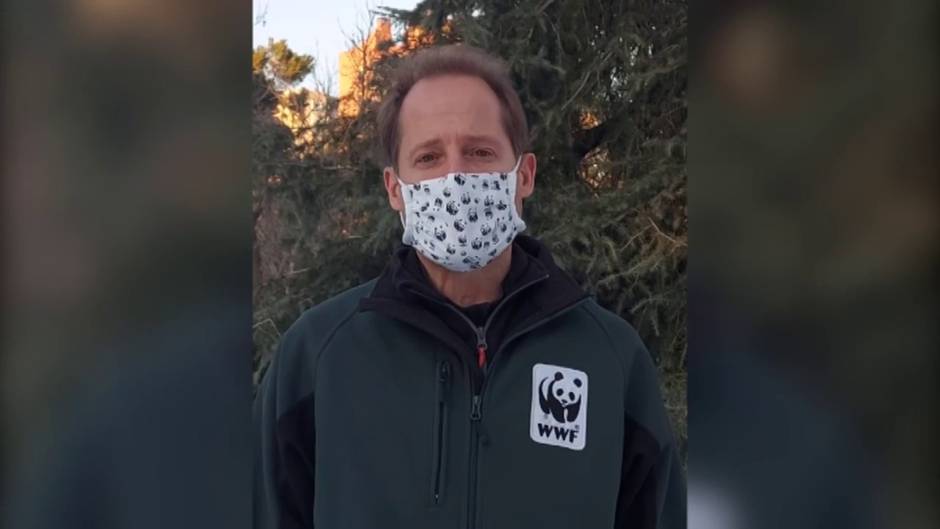 WWF reclama a los líderes mundiales un Marco Global de Biodiversidad ambicioso