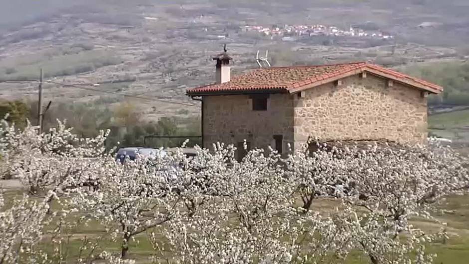 Los cerezos en flor llegan al Valle del Jerte