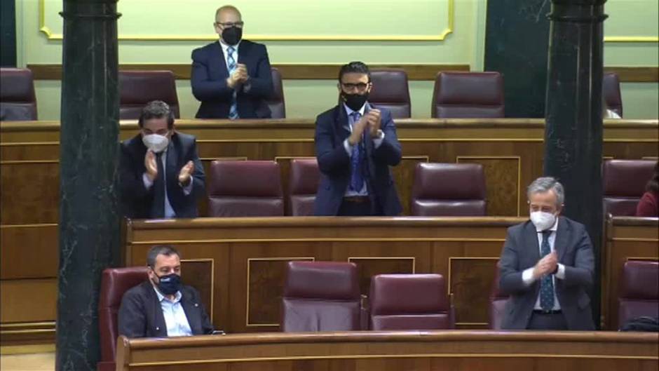 Abascal saca un adoquin en el Congreso y culpa a Marlaska y UP de estar detrás de los ataques a Vox