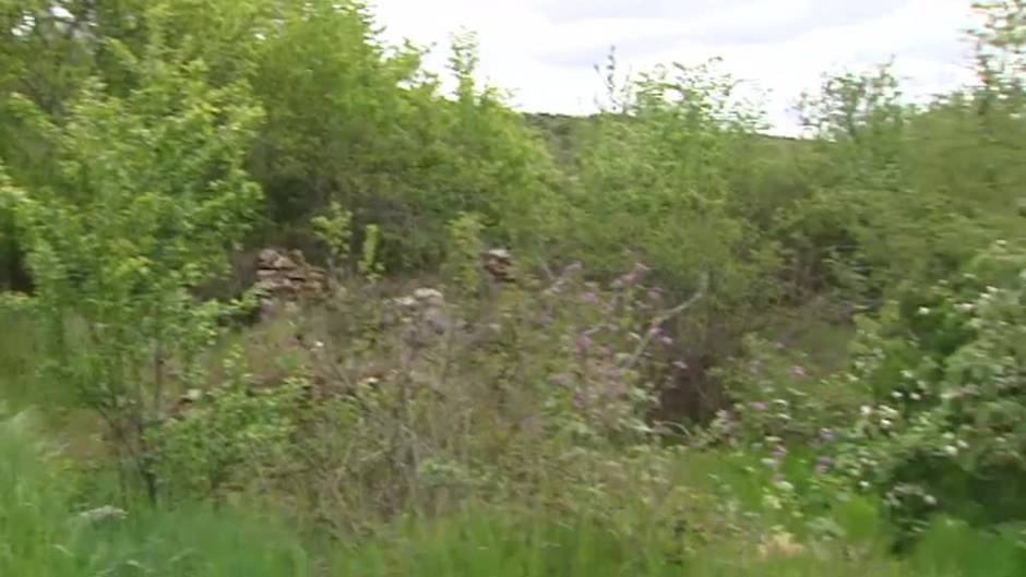 La historia vuelve para devolver la identidad y salvar a Fraguas