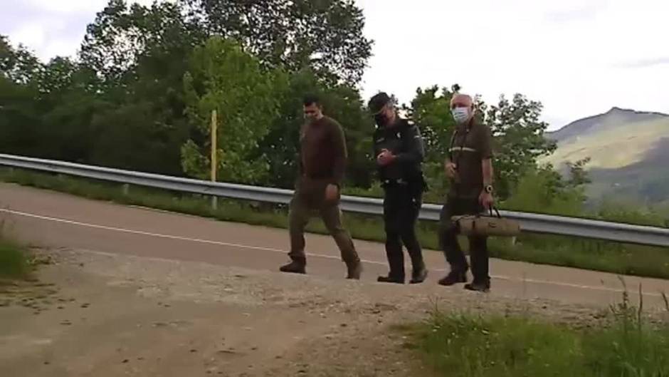 Los osos le han perdido el miedo a los vecinos de Asturias