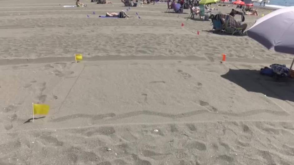 La playa malagueña de Torre del Mar se parcela para garantizar la distancia entre los usuarios