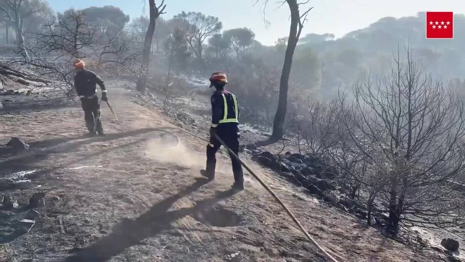 Bomberos y forestales siguen extinguiendo el incendio del pantano de San Juan