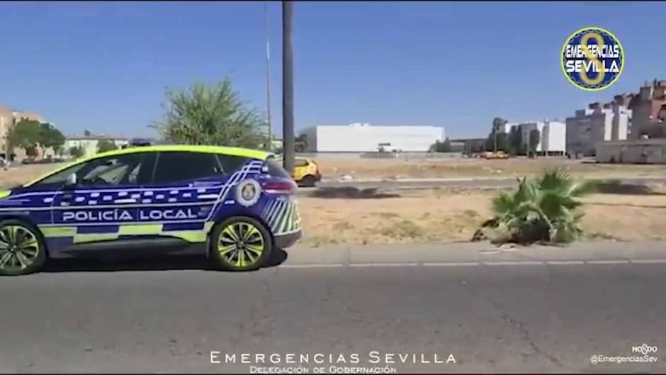 Muere una mujer atropellada por una furgoneta en un paso de peatones en Sevilla