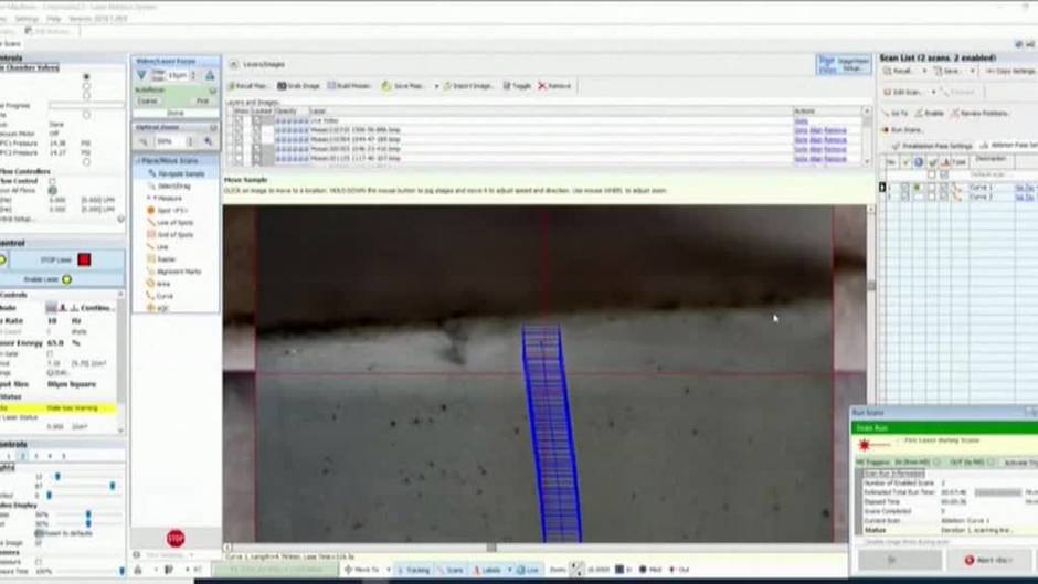 Investigadores logran mapear la vida entera de un mamut de 17.000 años