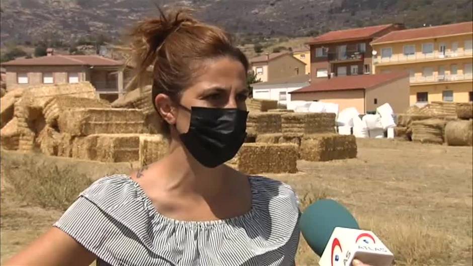 Los ganaderos sufrirán las consecuencias del incendio de Navalacruz durante cinco años