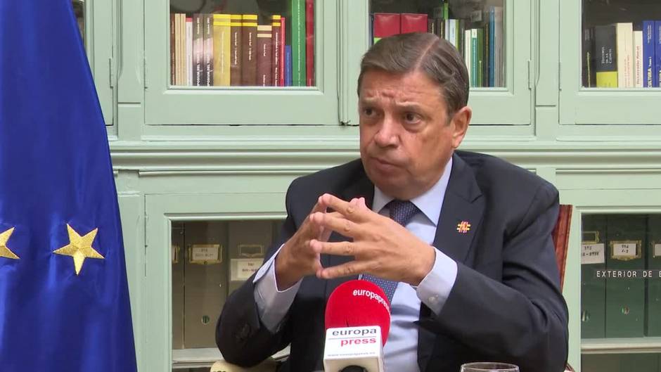 Planas planea llevar al Consejo el decreto de calidad y trazabilidad del aceite