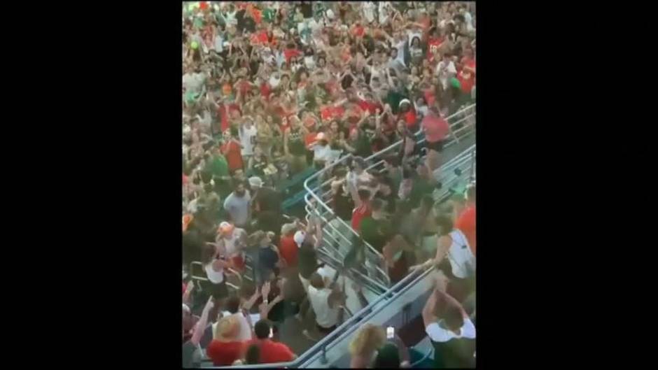 Salvan a un gato en un estadio de Florida utilizando una bandera para amortiguar la caída