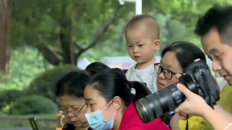 Dos bebés panda gemelos se presentan en público 100 días después de su nacimiento en China