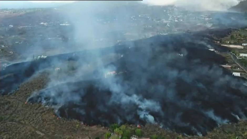 El volcán de La Palma arrasa algunas plantaciones de plátanos