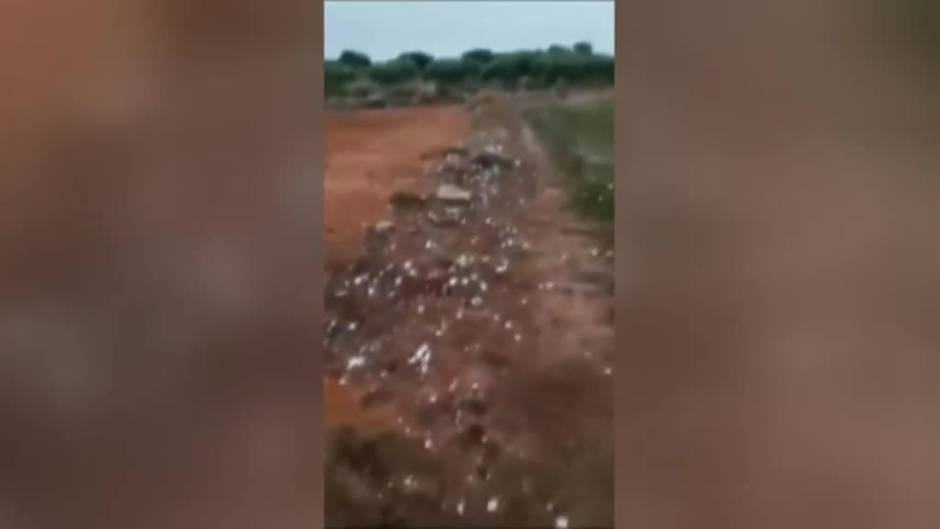 Rayos, truenos y granizo en la Comunidad Valenciana para despedir la DANA