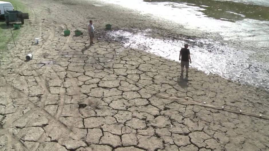 Un estudio apunta a que la luz de las ciudades influye en la disminución de los insectos