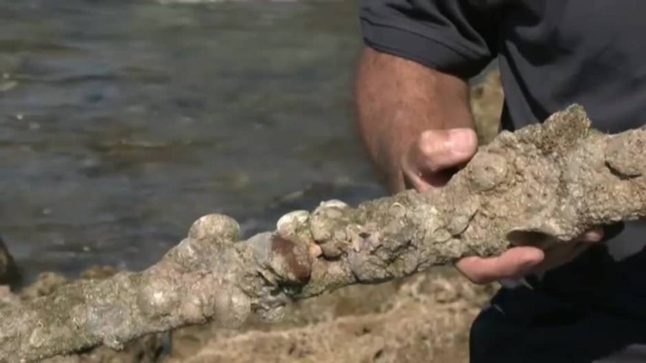 Un buceador encuentra en Israel una espada medieval que perteneció a un caballero de las Cruzadas