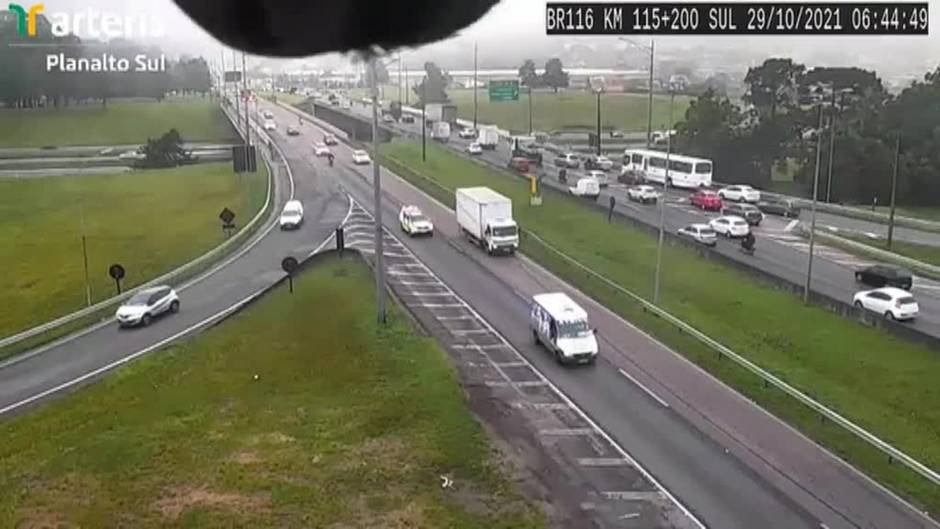 Un loro se hace viral en Brasil saludando a las cámaras de tráfico