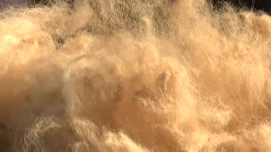 Una ganadera enamorada de las alpacas monta una granja en las montañas de Cercs