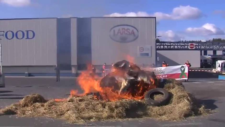 Espectacular protesta de los ganaderos gallegos por los bajos precios de la leche