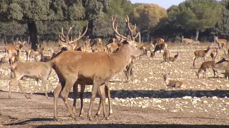 Gastronomía y naturaleza, apuesta por el turismo rural