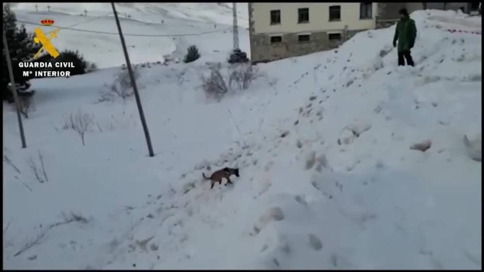 La Guardia Civil encuentra el cuerpo sin vida del joven de Benaguasil