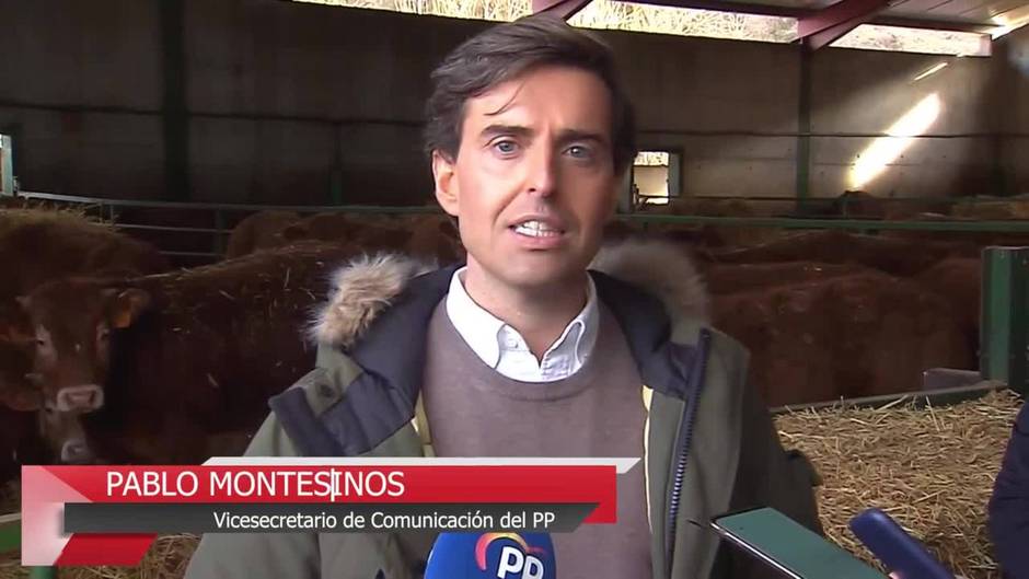 Sánchez pide al PP apoyar la reforma laboral y la oposición exige el cese de Garzón