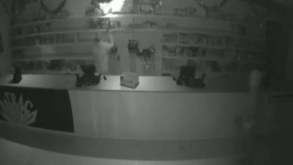 Bebés hiperrealistas, anabolizantes o bicicletas el botín de los aluniceros más activos de Andalucía 50 robos en menos de 3 meses