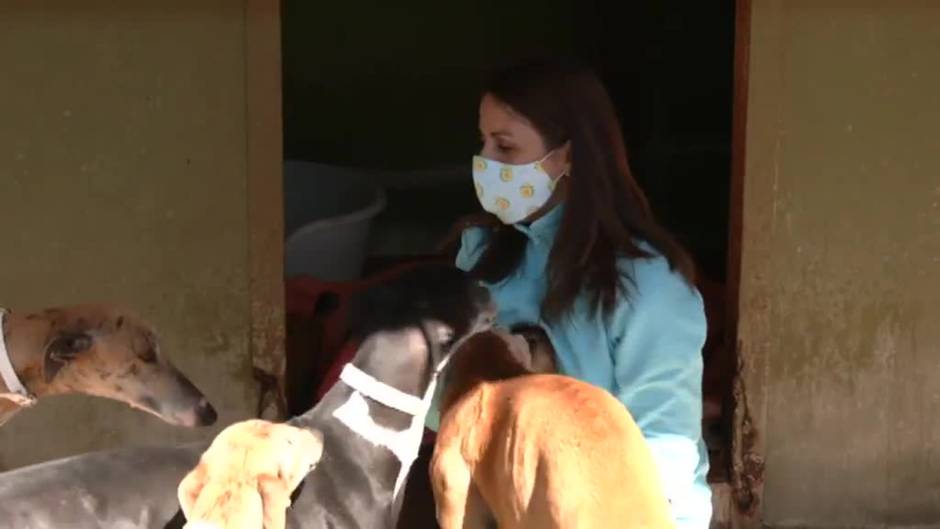 Luz verde a la nueva Ley de Protección animal que endurece las multas por maltrato