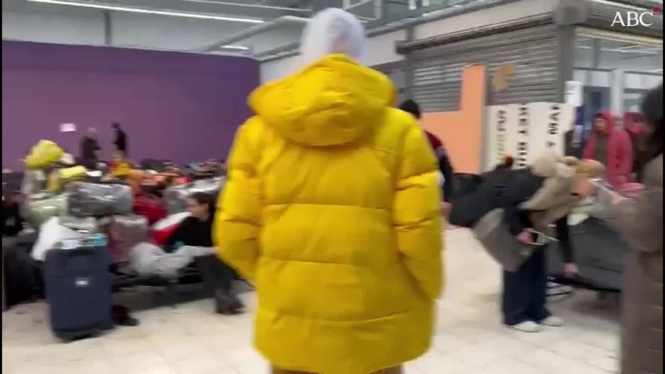 El coleccionista de Málaga que viajó a Polonia para ayudar a unos amigos y ahora llena un autobús con 49 refugiados